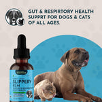 USA imported Animal Essentials pet herbal extract dropper bottle