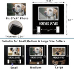 MYPAWLETS cat and dog remembrance frame displaying adjustable collar section and condolence card