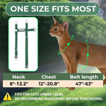 Breathable mesh pet travel harness and leash combo for walking