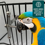 Authentic USA imported Busy Bird interactive parrot toy with altered secure hex bolts.