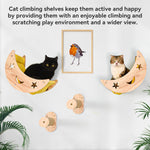 Indoor cat climbing wall shelves and bridge