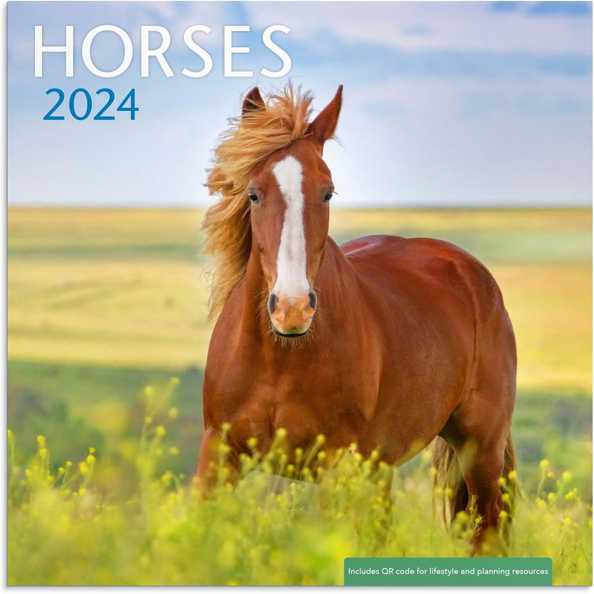 Horses 2024 Wall Calendar - Image 1