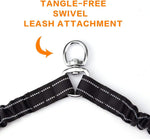 VANVENE two dog leash attachment showing the premium metal rotational clip