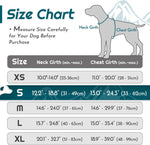 Eagloo small dog harness displaying dual metal leash clips