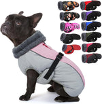 IECOii winter dog jacket size chart and fit guide