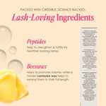 Grande Cosmetics GrandePRIMER lifestyle application view