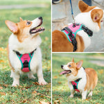 Large pink Phoepet harness for walking training
