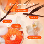 amika normcore signature shampoo - Image 9
