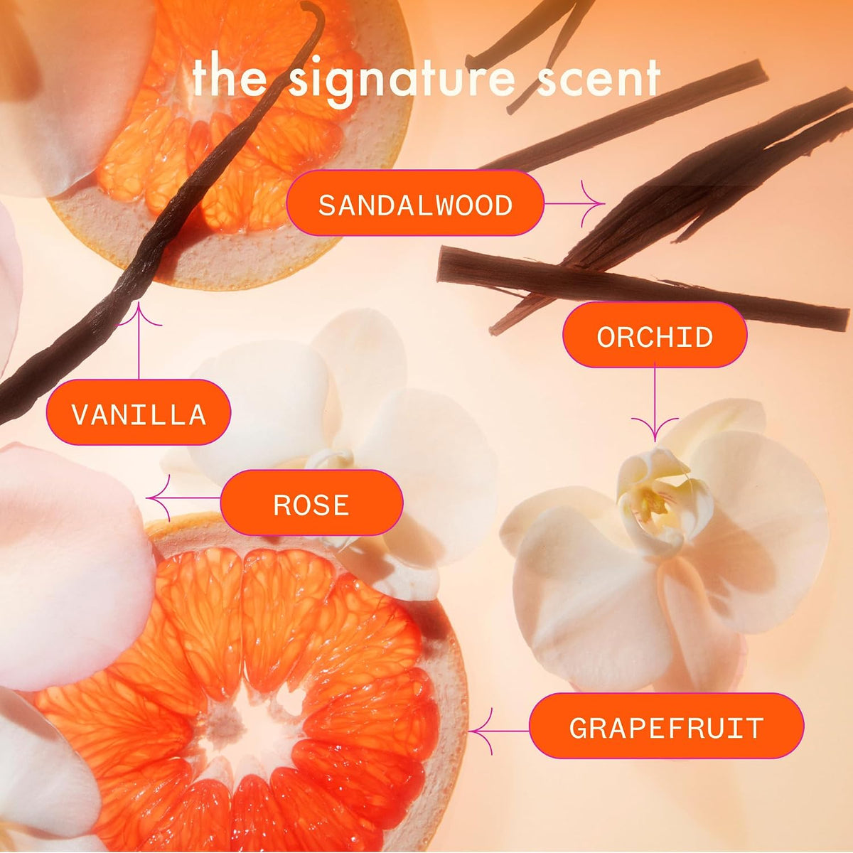amika normcore signature shampoo - Image 9