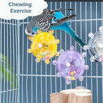Interactive spinner rattle parrot toy clear body showing interior beads