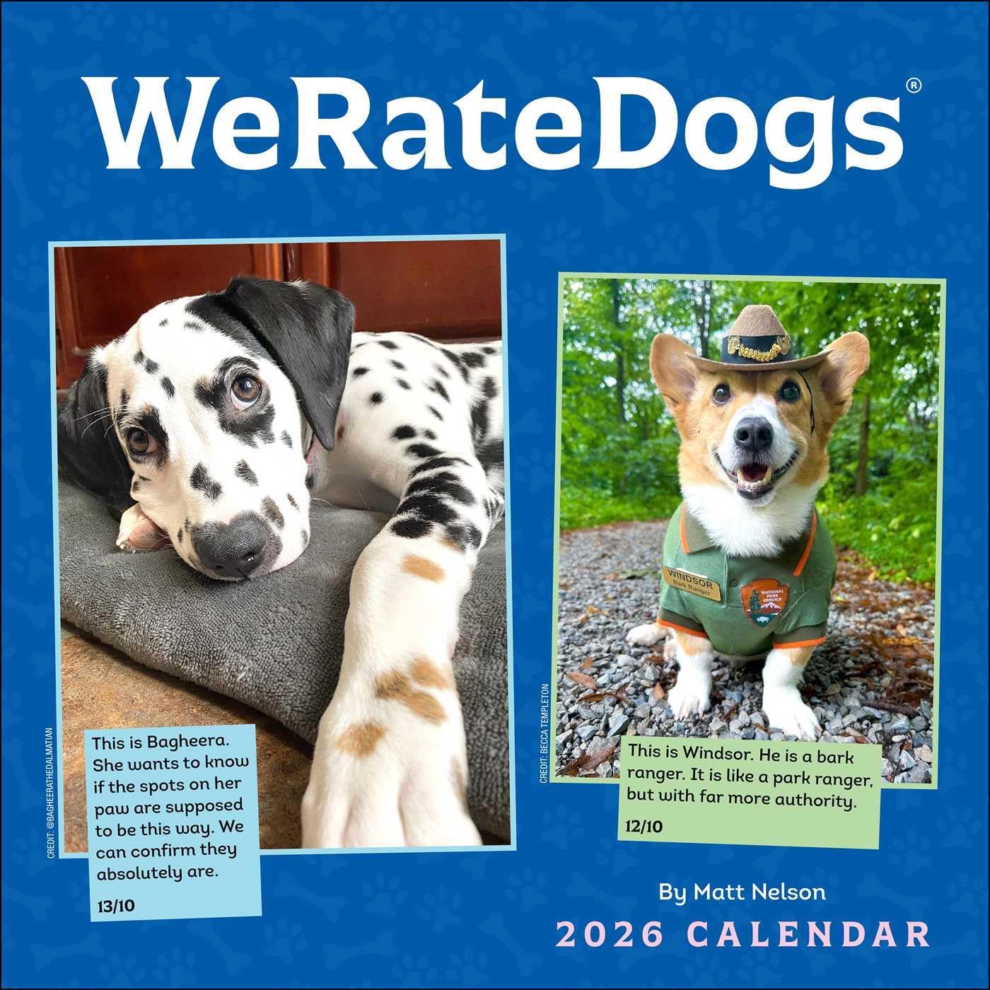 WeRateDogs 2026 Wall Calendar - Image 1