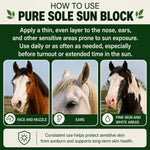 Pure Sole Horse Nose Sunscreen | Moisturizing Equine Sunblock with Non-Nano Zinc Oxide for Pink Noses, White Noses, Sensitive Skin | Broad Spectrum UV Protection | Water Resistant, 2 oz Push-Up Stick - Image 9