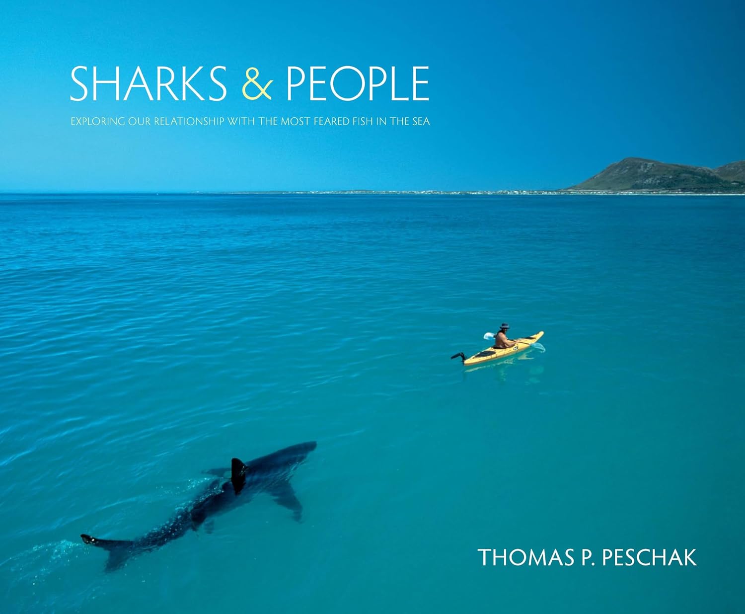 Sharks and People: Exploring Our Relationship with the Most Feared Fish in the Sea - Image 1