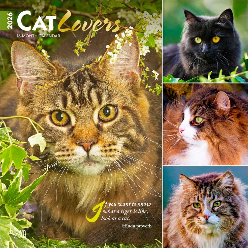 Cat Lovers | 2026 12 x 24 Inch (Hanging) Monthly Square Wall Calendar | Foil Stamped Cover | Plastic-Free | BrownTrout | Animals Domestic Kittens Feline - Image 1