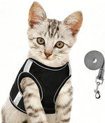 Black extra small escape proof harness for small kittens