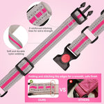 QDYU padded pet collar with durable alloy hardware for medium breeds