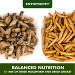 Entopropet five ounce premium reptile treat jar displaying nutritional facts