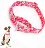 Premium imported USA soft nylon collar for secure dog walking.