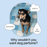 Back of bottle showing ingredients for DedCool Pet Fragrance