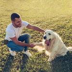 AUDWUD pet reward pouch next to the included dog training clicker accessory