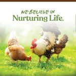 Manna Pro natural foraging chicken snack mix texture details
