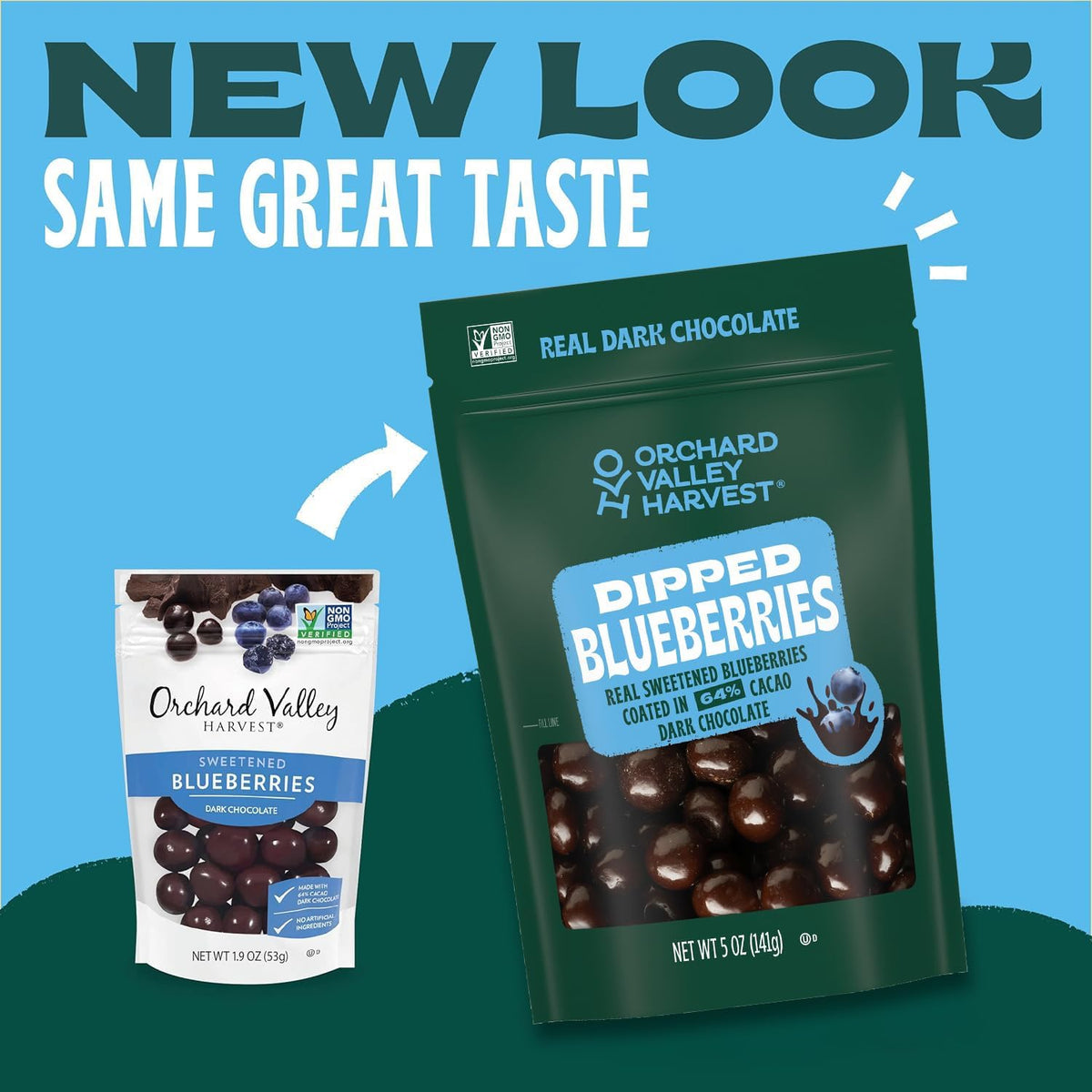Close up shot of dark chocolate blueberries texture