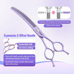 FOGOSP purple curved dog grooming scissors showing the precise downward curve