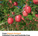 Bulk supply overview of 500 grams pesticide free small animal enrichment sticks.