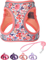 Step in Dog Harness and Leash Set, Flower Adjustable Easy Walk Puppy Harnesses, Soft Mesh No Pull Pet Vest Harness for Small Dogs and Cats(Strawberry, XS) - Image 14