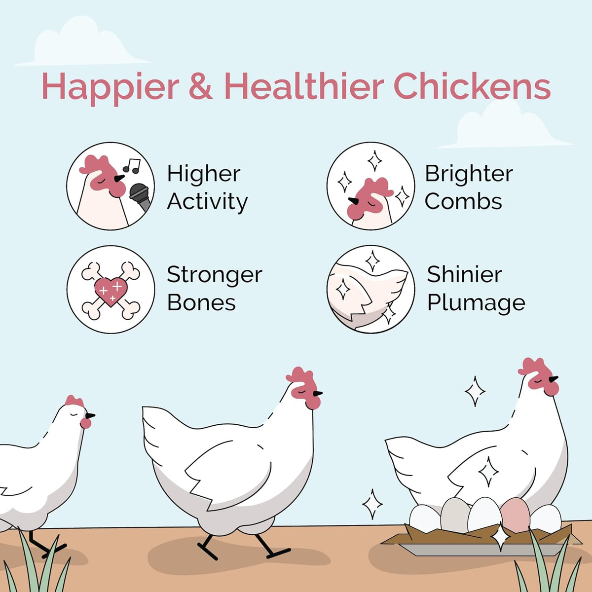 Healthy grower chickens in a coop with access to grit