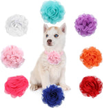 8 Pcs Flower Collar for Dogs 3 inch Colorful Cat Puppy Charms Pet Flower Collars Soft Dog Tie for Dogs Grooming Charms Accessories - Image 1
