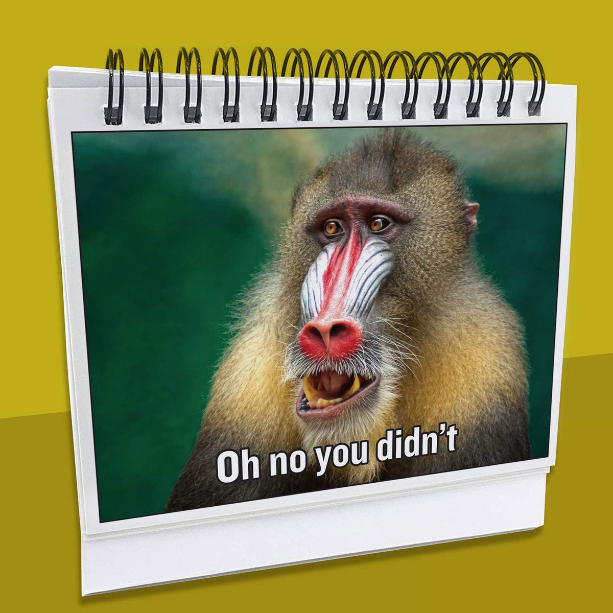 Maad funny cubicle gift resting on an office workspace table
