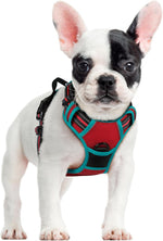 rabbitgoo Dog Harness No Pull with 2 Leash Clips, Adjustable Soft Padded, Reflective Oxford No Choke Pet Vest with Easy Control Handle for Large Dogs, Black, L - Image 12