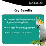 Texture close-up of RoudyBush Daily Maintenance bird food