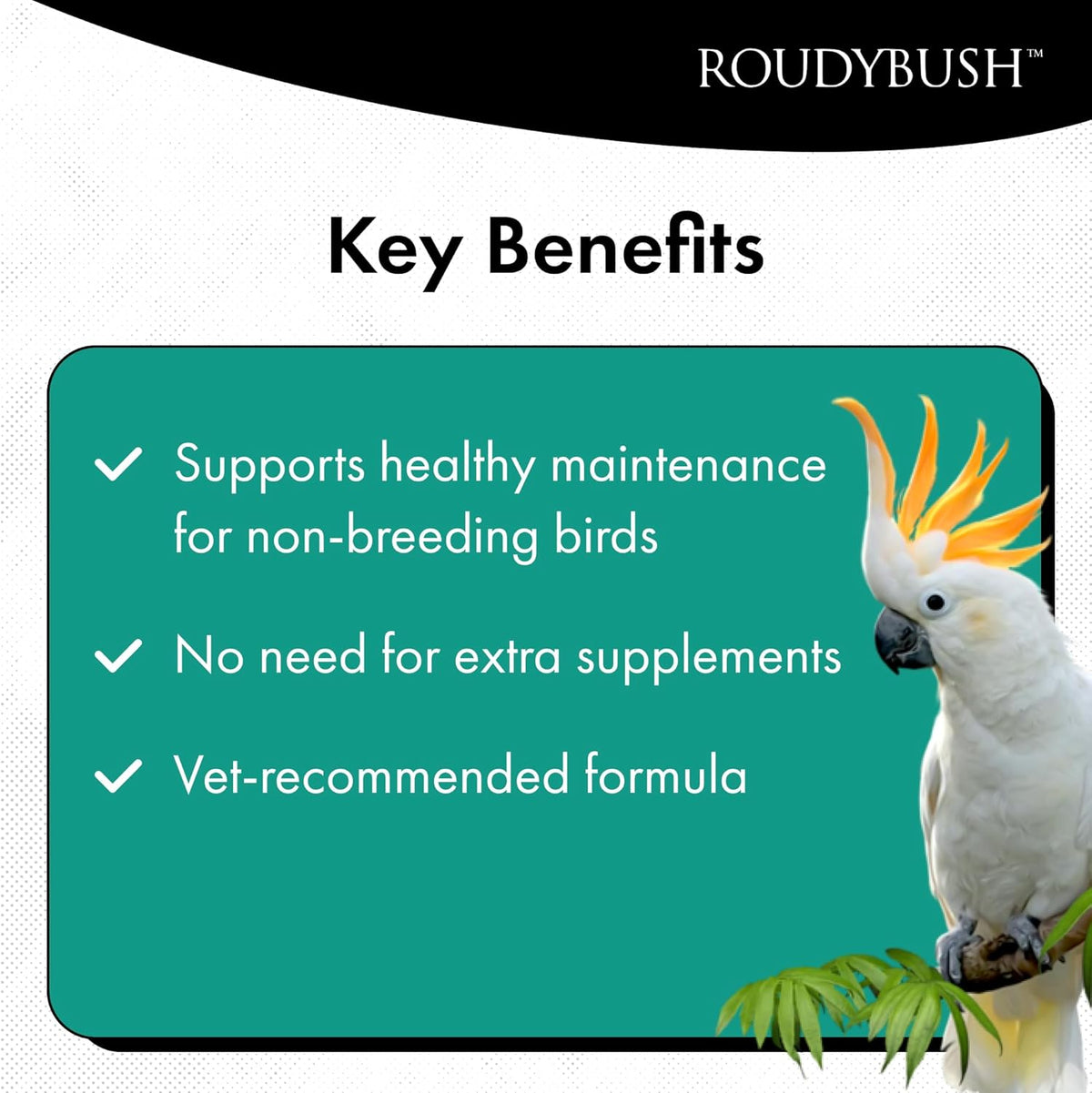 Texture close-up of RoudyBush Daily Maintenance bird food