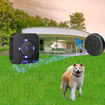 Close up view of the black waterproof touch button for dog training