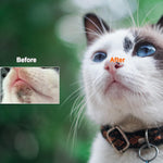 Oval shaped cat acne cleaning tool demonstrating flexible food grade silicone.