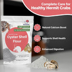 Close up of crushed oyster shell texture for hermit crabs