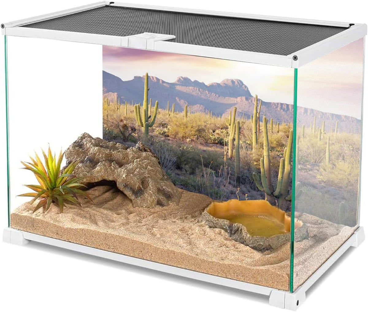 Durable polyester fabric aquarium backdrop featuring Sonoran desert sunset design