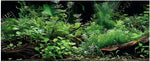 Aquarium Background, Aquatic Plant River Bed & Lake Tropical Undersea Tree Branch Fish Tank Background, 6 EVA Double-Sided Tapes 36x18 inches/90x45 - Image 15