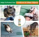 Cat deterrent spray applied near sofa and living room rug