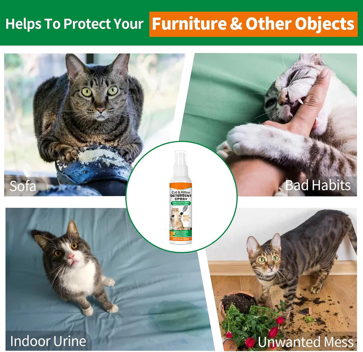 Cat deterrent spray applied near sofa and living room rug