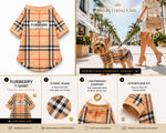 Cute puppy wearing stylish luxury dog clothing