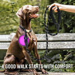 COOYOO 5 ft rock climbing rope dog leash in rolled display