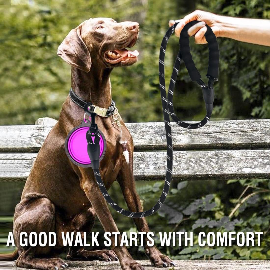 COOYOO 5 ft rock climbing rope dog leash in rolled display