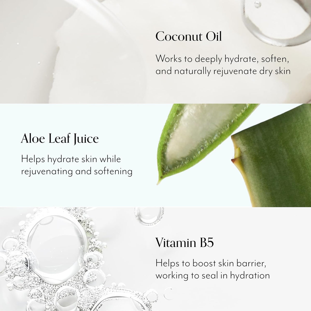 Rich lathering hand wash with aloe vera and coconut oil