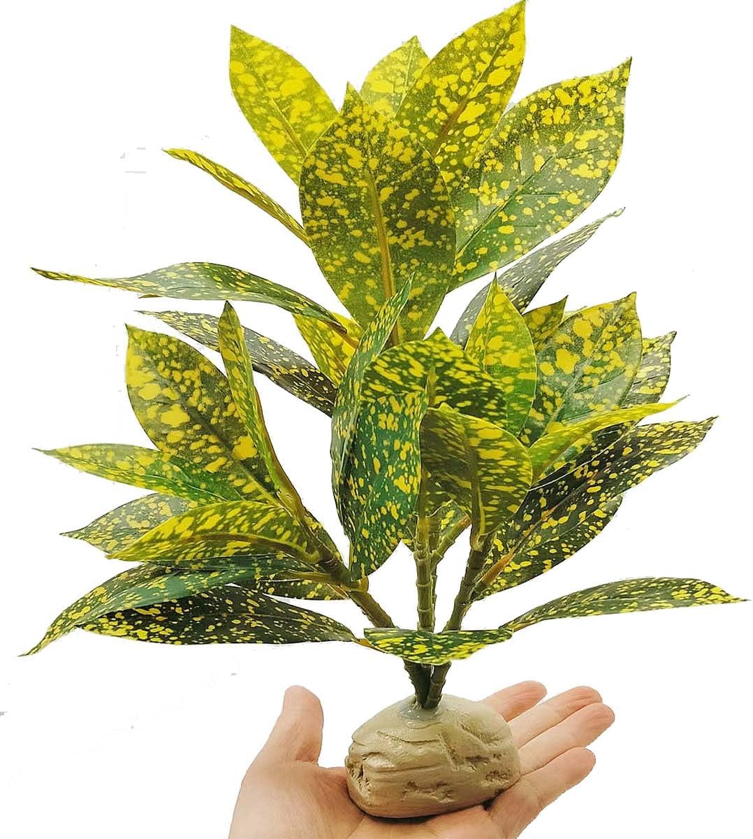 Keruideng decorative plant inside a bearded dragon tank.