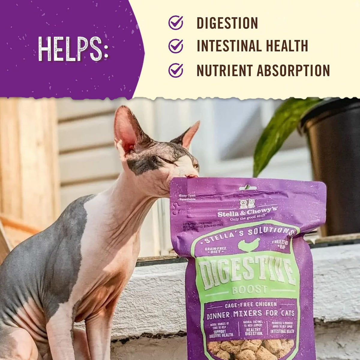 Stella & Chewy's grain free digestive support cat food meal topper bag closeup view