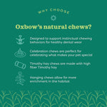 Oxbow small animal dental chew toy showing popsicle shape and design