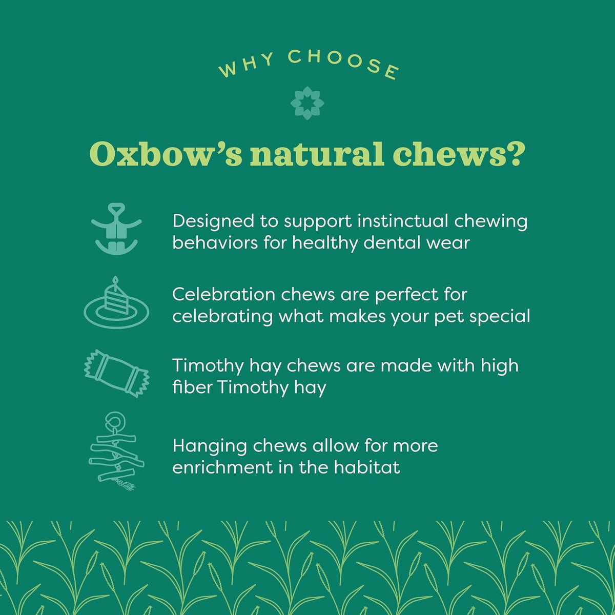 Oxbow small pet enrichment toy for dental health support